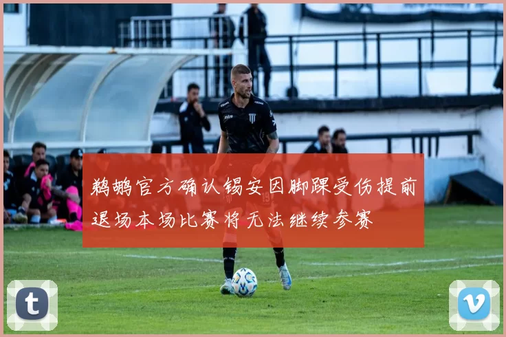 鹈鹕官方确认锡安因脚踝受伤提前退场本场比赛将无法继续参赛