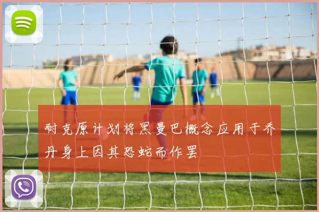 耐克原计划将黑曼巴概念应用于乔丹身上因其恐蛇而作罢